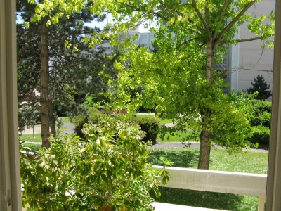 APPARTEMENT CHATOU - 2 pieces - 48 m2