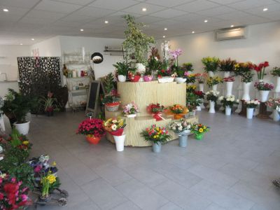 Local commercial Plailly 53 m2