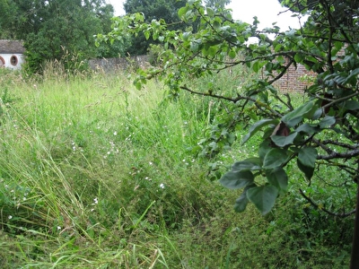 Terrain Plailly 671 m2