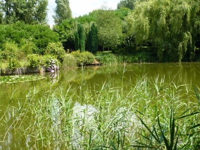 TERRAIN DE LOISIRS ECOMMOY - 3571 m2