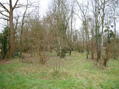 Terrain