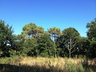 Terrain 1247 m2 a Carnac