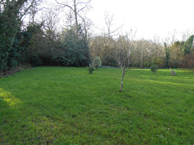 Terrain viabilise Auray