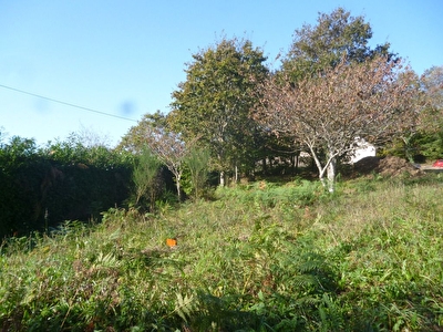 Terrain Brech viabilise