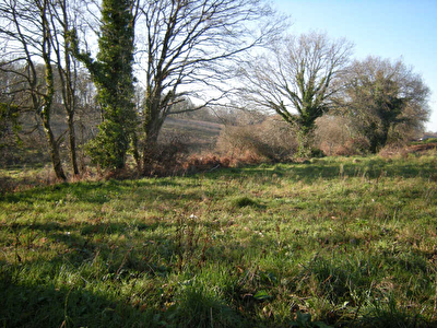 Terrain constructible Auray