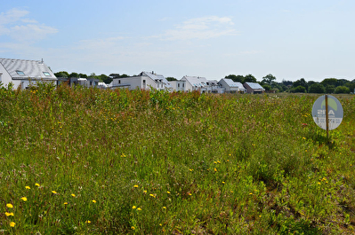 Terrain Bono 440 m2