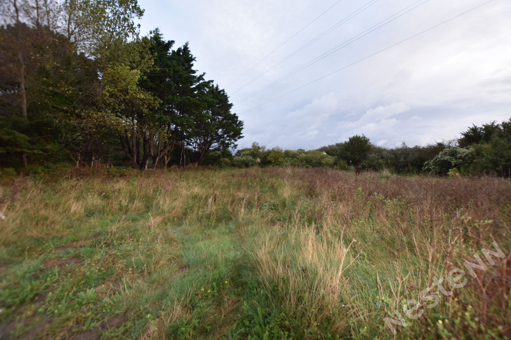 Terrain de 818 m2 entre la Cote et le port de SaintPierreQuiberon