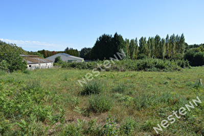 Vente terrain a Camors d'une superficie d'environ 1280 m2