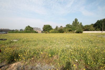 Terrain Saint Barthelemy D Anjou 729 m2