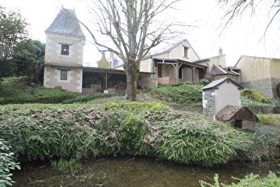 Maison ancienne avec tomettes, Saint Martin Du Fouilloux. 3 chambres dont une chambre de plain pied, 2 grands garages, un abris de jardin, un terrain de plus de 4000m2.