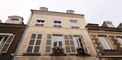 ORLEANS Boeuf Saint Paterne / Bannier / Mediatheque - Grand appartement T2 evolutif avec grenier et cave !