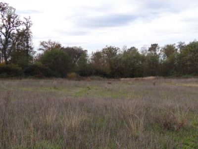Haut-mauco - 2100 m2