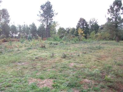Terrain Bretagne De Marsan 2100 m2