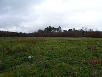 Terrain Dax 1041 m2