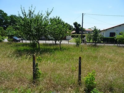 Terrain Dax 1467 m2