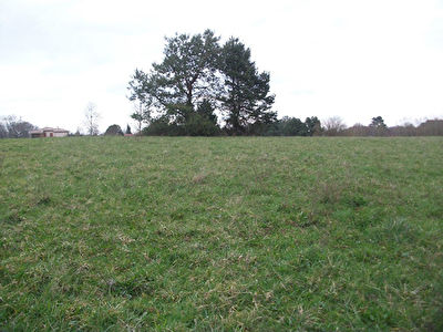 Terrain 1215 m2