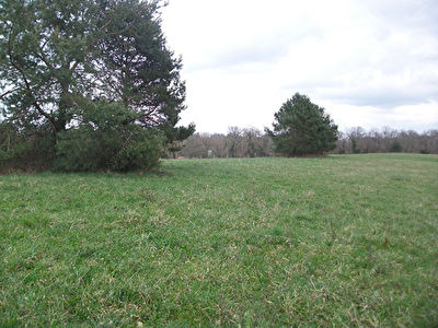 Terrain 2160 m2