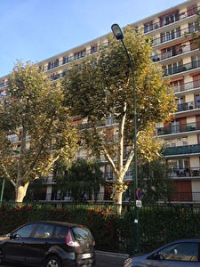 APPARTEMENT 3 PIECES