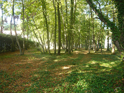 TERRAIN A BATIR LAMORLAYE - 5200 m2