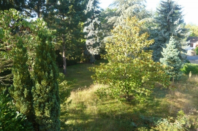 TERRAIN A BATIR LAMORLAYE - 812 m2