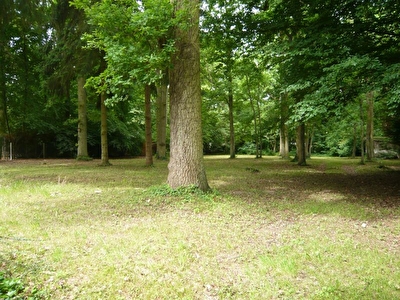 Terrain Lamorlaye 3363 m2