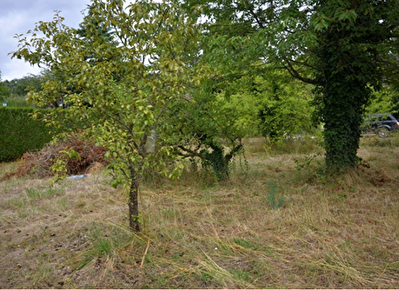 Terrain Lamorlaye 466 m2
