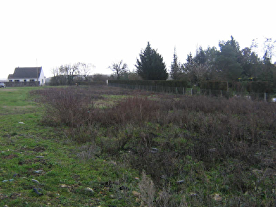 TERRAIN A BATIR CHATILLON SUR INDRE - 2200 m2