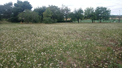 Terrain constructible a 5 km au sud de Loches