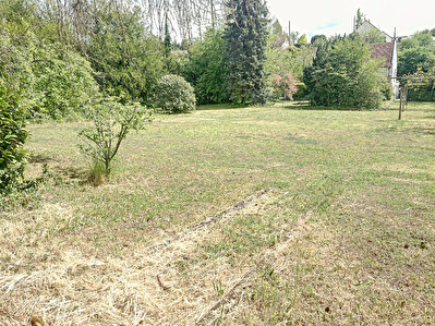 Terrain arbore avec compteur eau et 2 belles caves