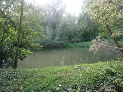 Coup de peche a 15 min au sud de Loches