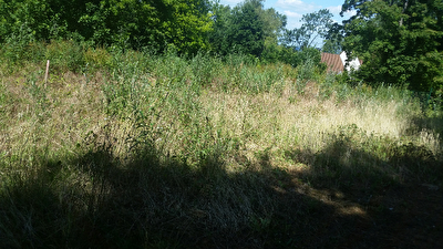 Terrain Viarmes - 683 m2