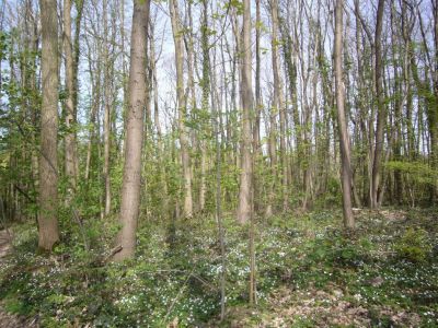 Terrain de loisirs Viarmes 4750 m2