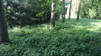 Terrain Sainte Genevieve 1096 m2