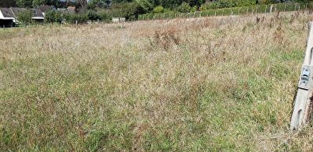 Terrain de loisirs Noailles 3880 m2