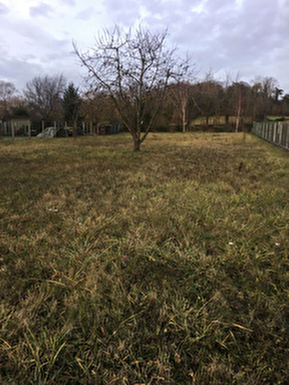 Terrain Noailles 1060m2 environ.