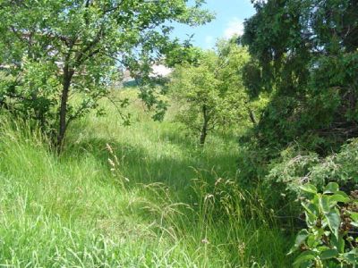Constructible URRUGNE - 0 m2
