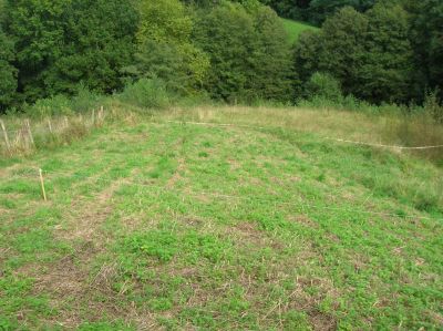 Terrain URRUGNE - 1200 m2