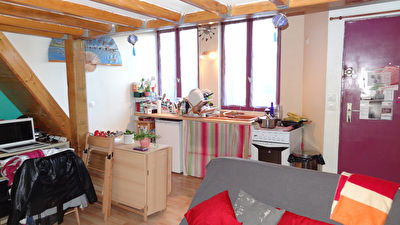 Appartement STUDIO avec Mezzanine