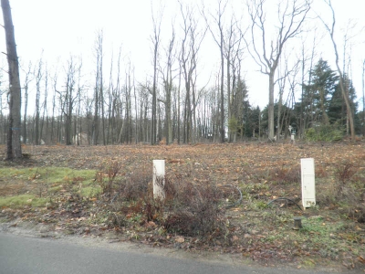 TERRAIN CONSTRUCTIBLE BOISEMONT - 1115 m2