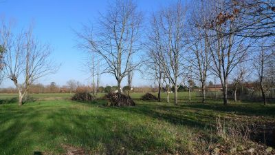 Terrain Montauban 1928 m2