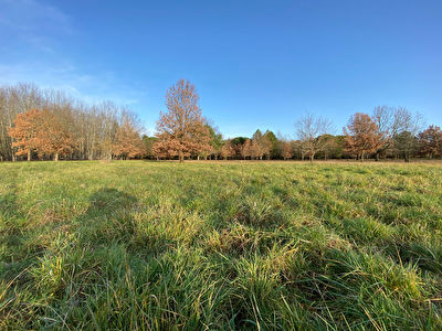 Terrain Montauban 1700m2