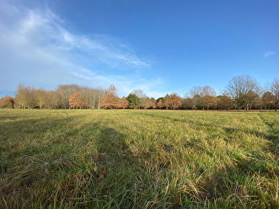 Terrain 3700 m2 en partie constructible Montauban saint martial