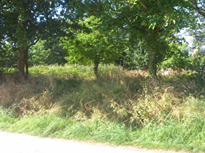 TERRAIN CONSTRUCTIBLE MAURON - 1430 m2