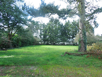A vendre Terrain secteur Dinan 1400 m2