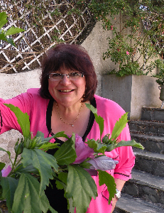 agence Domont