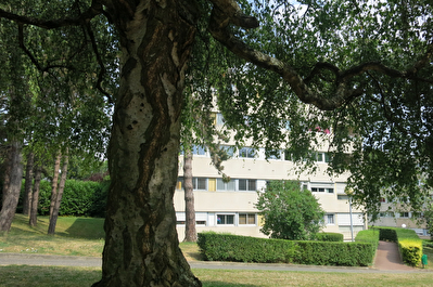 Appartement Ecouen 3 pieces