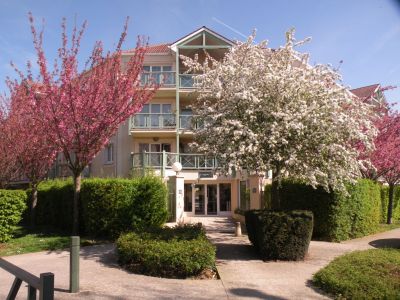 Appartement Domont 1 piece