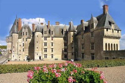 ANCIENNE LANGEAIS - 9 pieces - 150 m2
