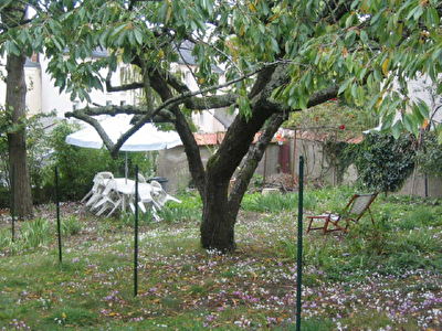 TERRAIN CONSTRUCTIBLE ANGERS - 180 m2