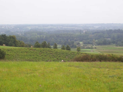 ROCHEFORT SUR LOIRE - 28000 m2